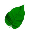 Main Leaf